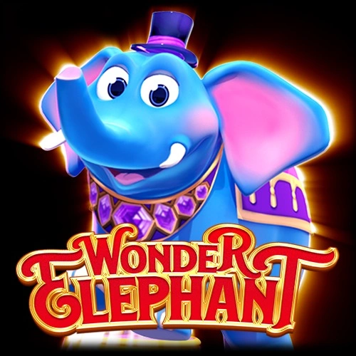 Wonder Elephant