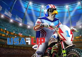 USA Flip