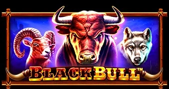 Black Bull